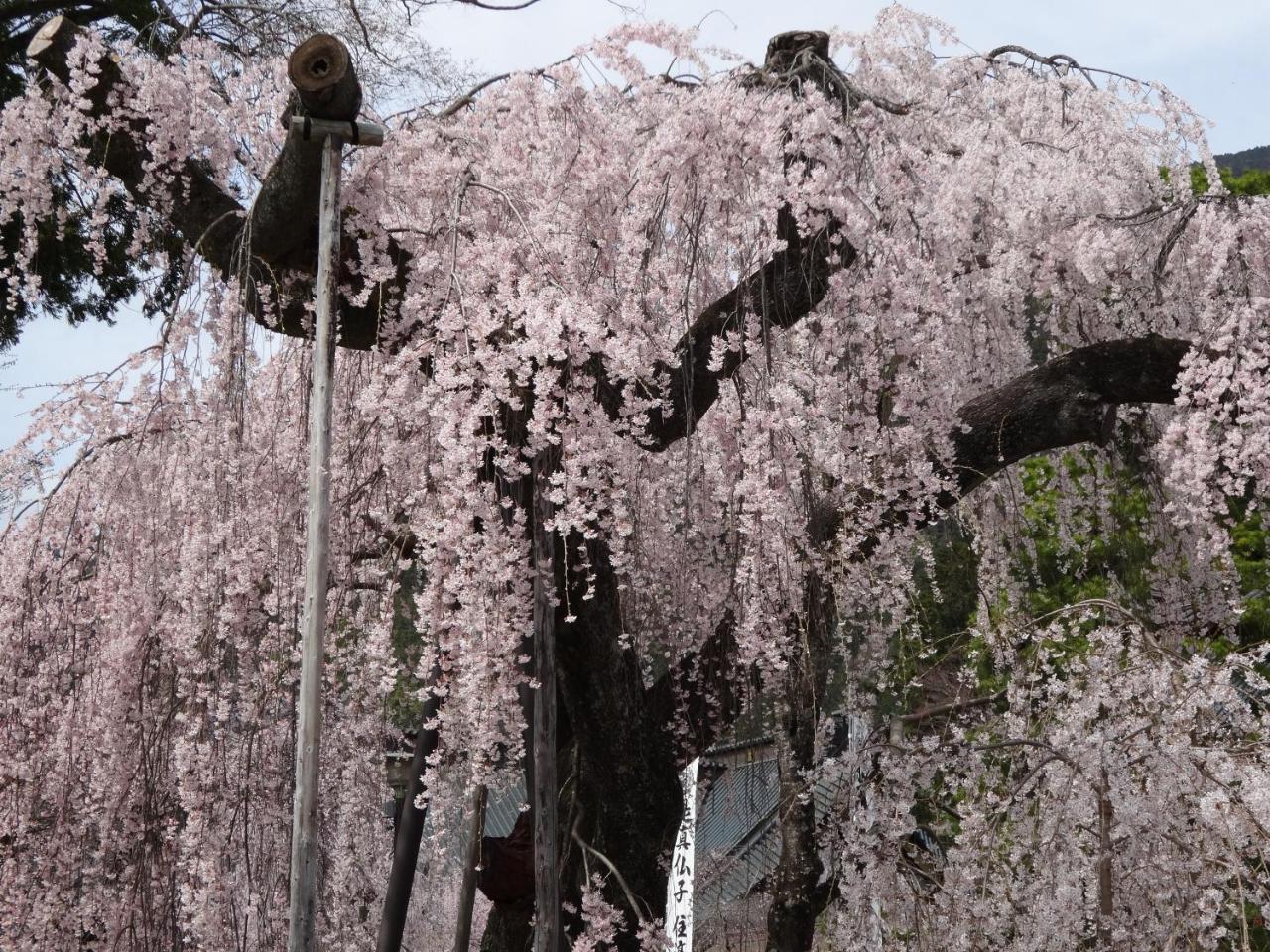 Ryokan Tanakaya Minobu Luaran gambar